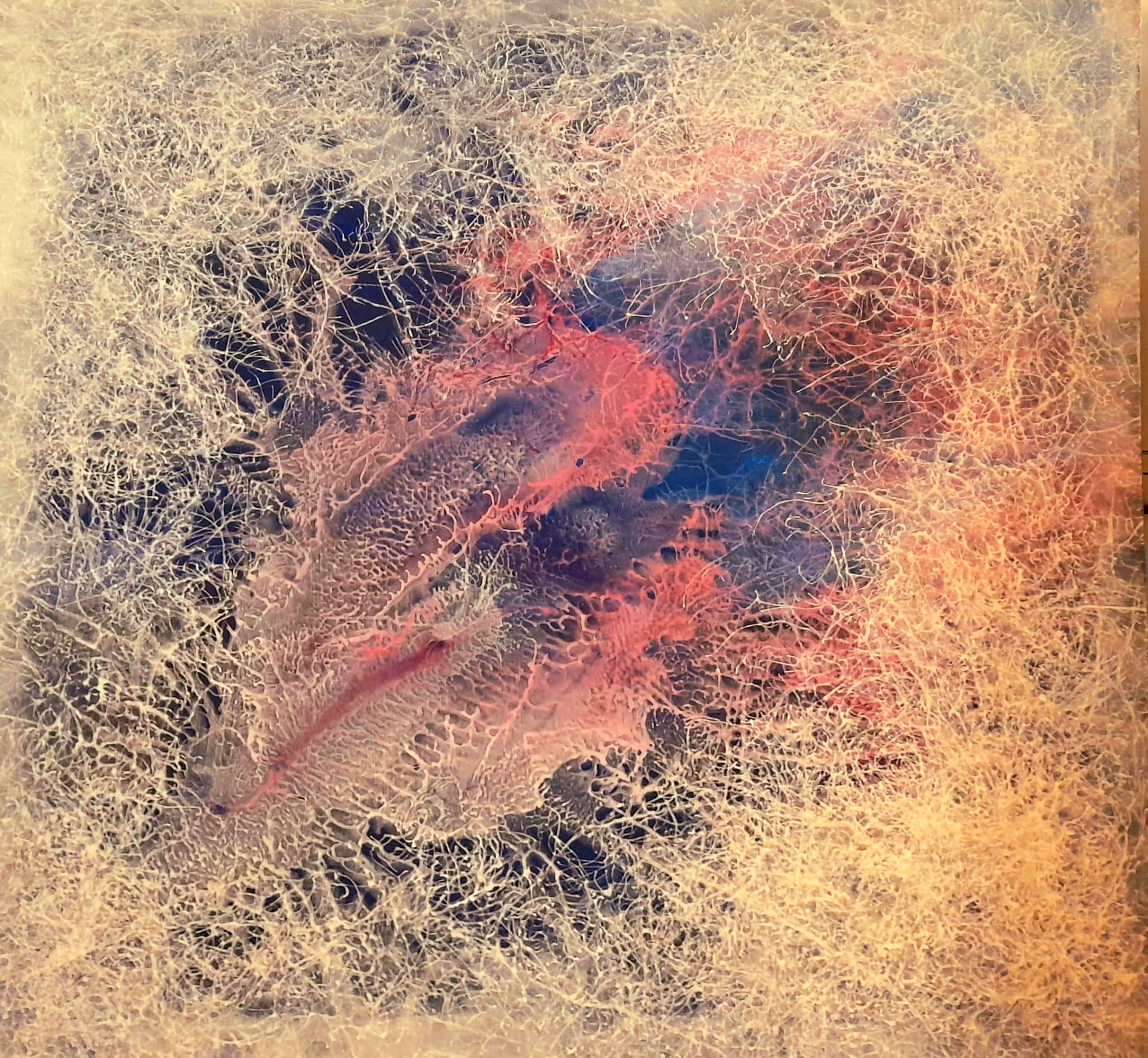 Křehkost srdce // Zerbrechlichkeit des Herzens //Fragility of the heart //