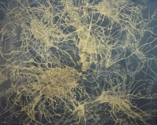 Smrtka // Tod // Death