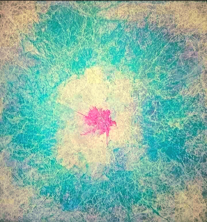 Krása v prostotě // Schönheit im Einfachen // Beauty in simplicity