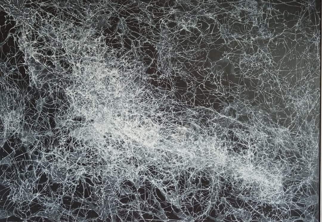 Pavučina bolesti // Spinngewebe des Schmerzes // Anguish cobweb