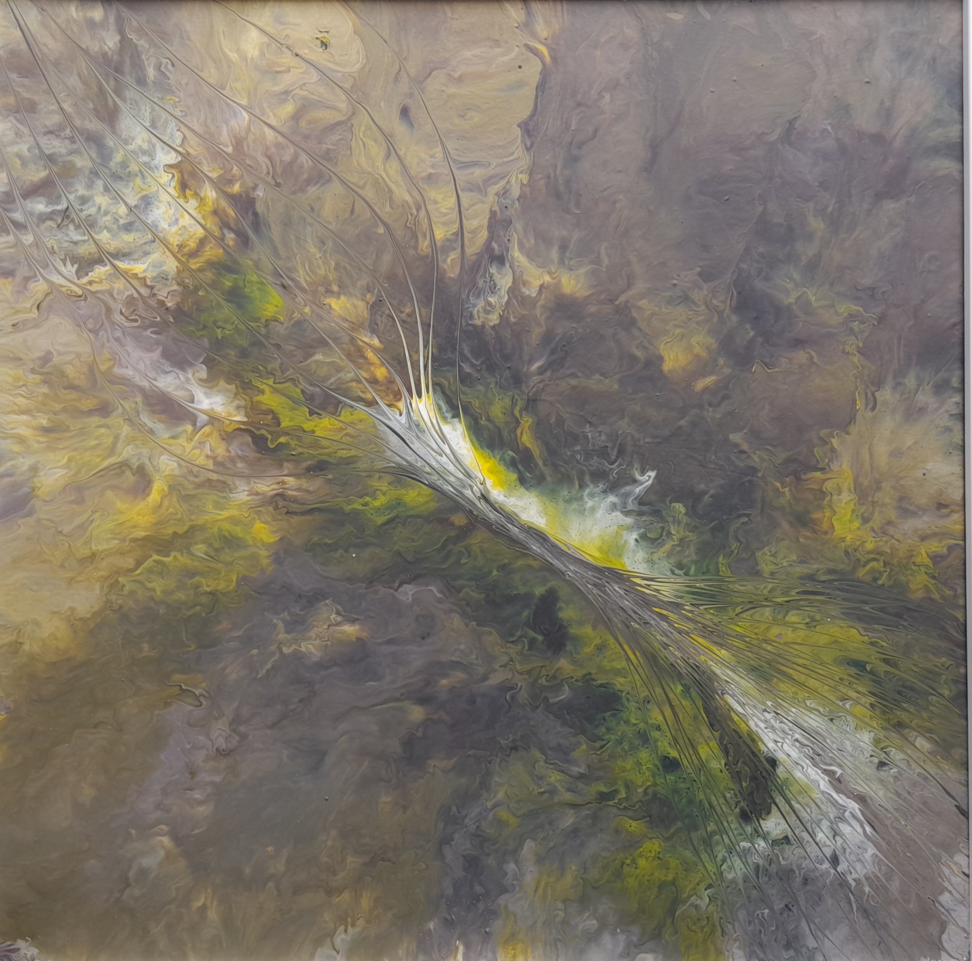 Zrození // Geburt // Birth