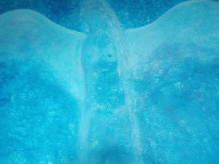 Anděl // Engel // Angel