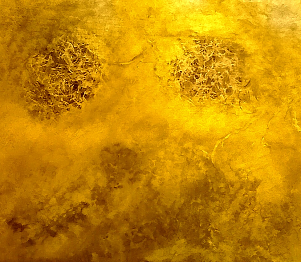 Fantazie // Fantasie //Fantasy